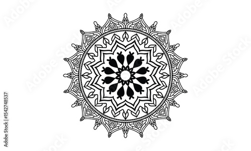 Vector very nice mandala  design fully editable high quality