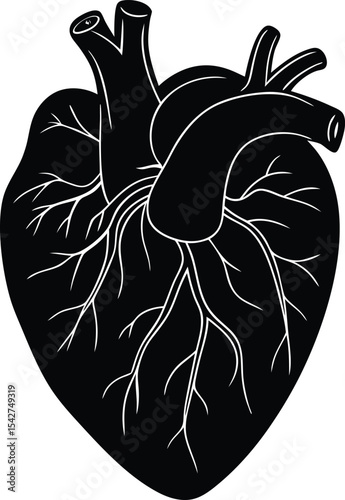 You might also like these vectors
