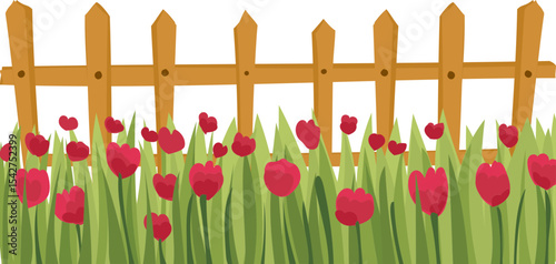 Wooden Fence with Tulip Flowers vector border for garden, landscape, spring, and nature decoration