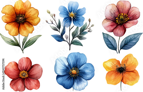 collection of flowers