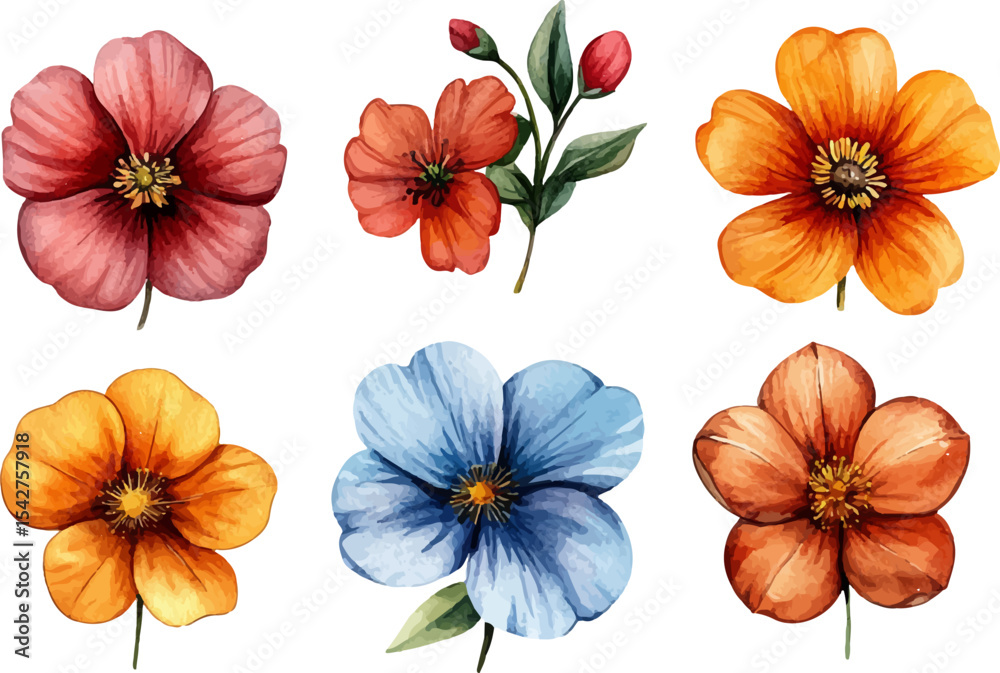 Fototapeta premium collection of flowers