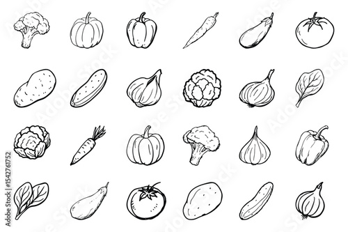 Set of hand drawn sketch vegetables Carrot,Potato,Tomato,Onion,Cabbage,Cauliflower,Broccoli,Eggplant ,Cucumber,Pumpkin,Bell Pepper (Capsicum) icon vector illustration on white background