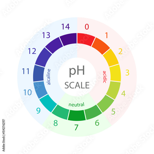 PH Scale. Level of acid and alkaline balance. Ph analysis or chemical test. Education Poster. Flat Vector illustration.