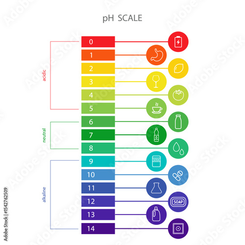 PH Scale balance. Indicator for concentration of hydrogen ion in solution. Ph food analysis or chemical test. Flat Vector illustration.