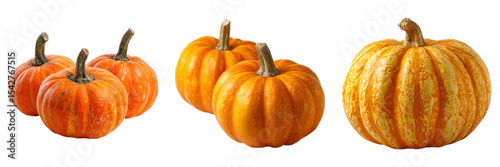 Wallpaper Mural Orange Pumpkins Whole Fruits set on Transparent Background Torontodigital.ca