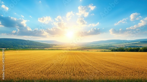 Golden field meets distant hills under bright sunny sky