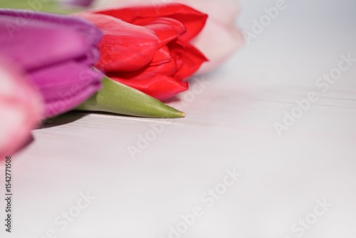 Fototapeta Naklejka Na Ścianę i Meble -  Three colorful tulip buds are resting on white painted wood tabletop in flat design illustration