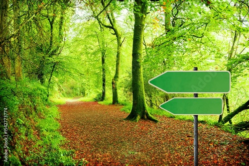Green road sign by forest trail