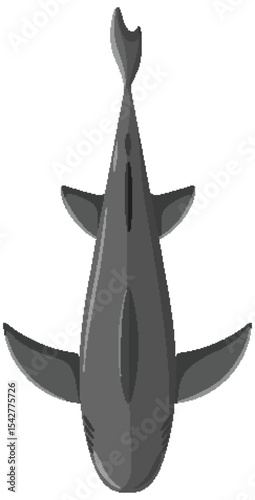 Top-Down View of a Shark