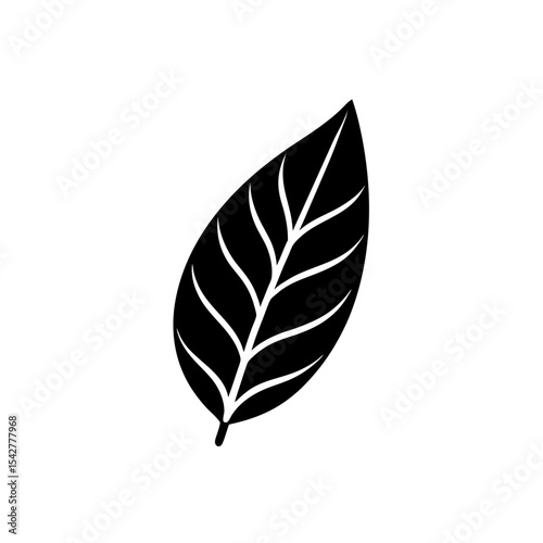 Bay Leaf Icon Vector in Flat and Clean Isolated Look