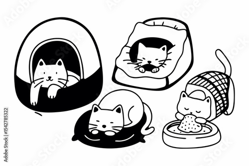cute cat activity 