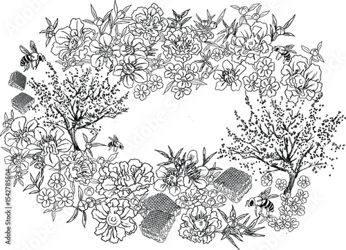 Kanuka manuka illustration border and frame