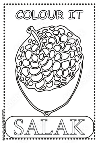 Coloring page for kids learning Salak Fruits