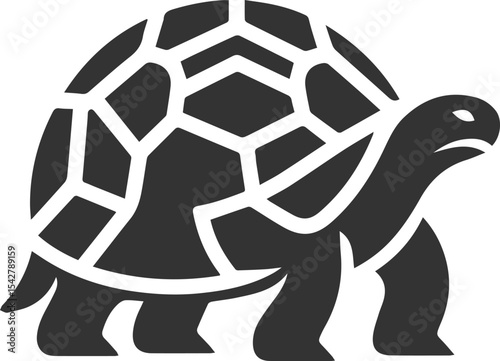 Drawing silhouette of a tortoise animal vector black