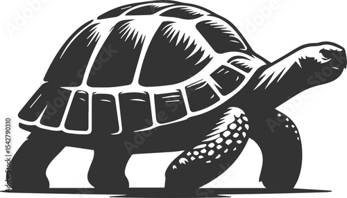 Drawing silhouette of a tortoise animal vector black
