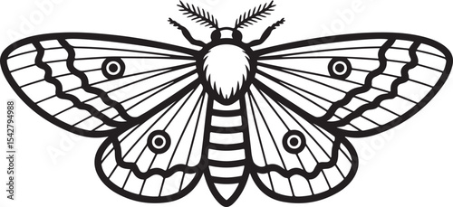 Detailed Moth Vector Illustration with Wing Patterns and Antennae Design