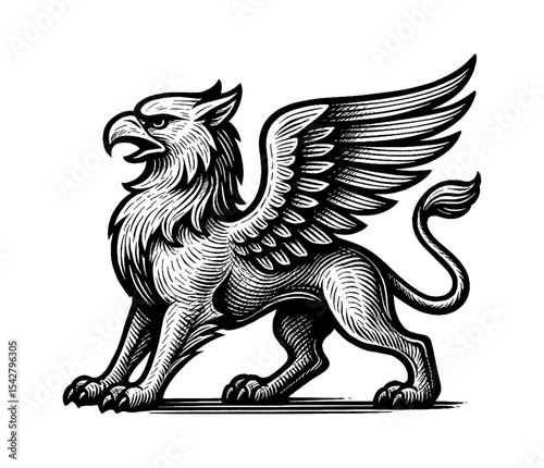 Engraved Illustration of a Majestic Griffin with Detailed Line Work and Strong Presence