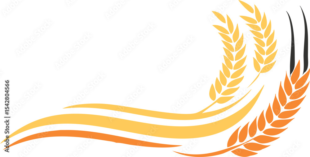 Fototapeta premium Agriculture wheat vector Illustration design template
