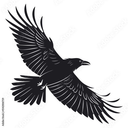 Majestic raven in flight silhouette