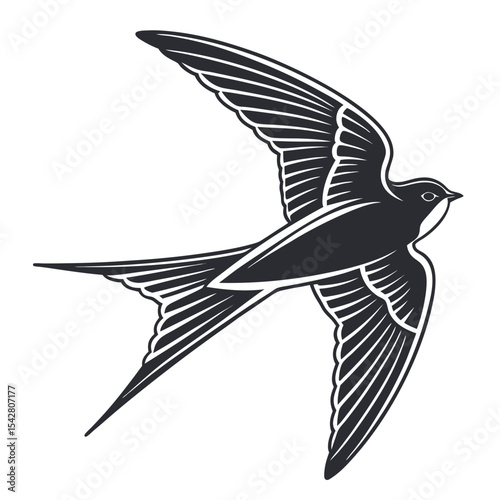 Elegant swallow bird silhouette in flight