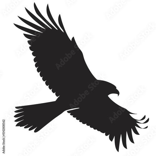 Majestic eagle in flight silhouette