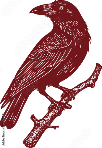 Beautiful Classic Hand Drawing Raven Bird
