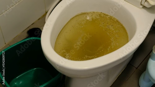 Clogged toilet caused by pouring cat litter into the toilet