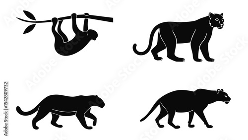 Black panther and sloth silhouettes on white background illustrating wildlife animals for design and education