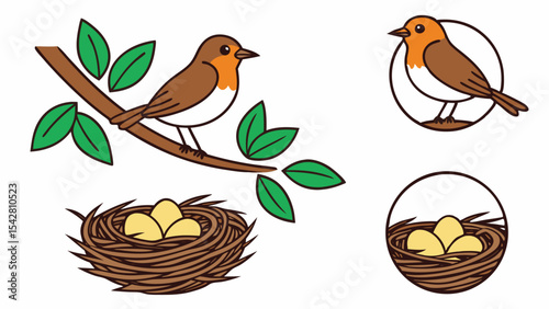 Cute illustration of a robin bird perched on a branch and nest with eggs vector design