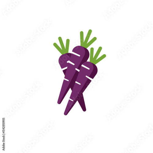 Vector illustration of purple carrots with green tops. Vegan and vegetarian ingredients, biodiversity and agriculture concept. Varieties of vegetables, gardening, eye health diet
