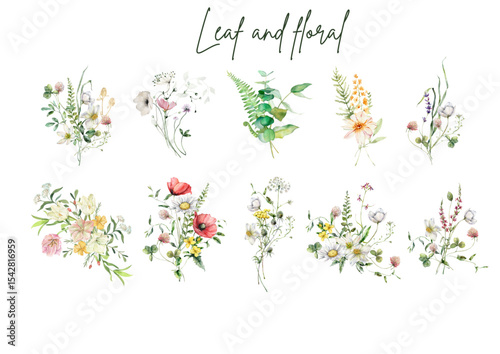 Vector of Spring floral background with flowers and butterflies in decorative nature design