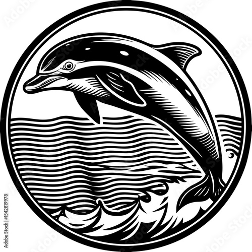dolphin