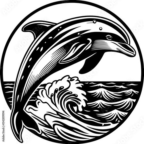 dolphin