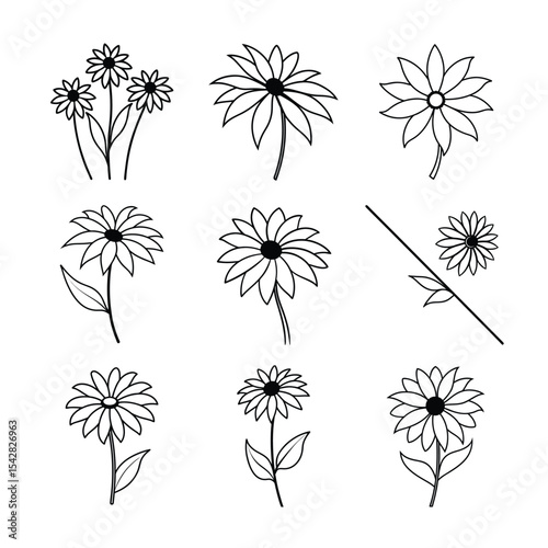 Black Eyed Susan Line Art Vector Set Collection
