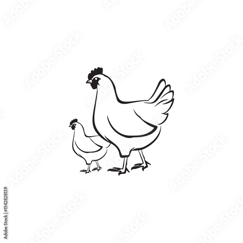 vector illustration of a chicken