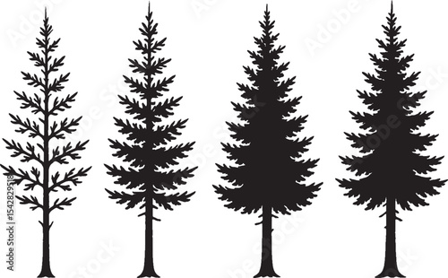 Pine Tree Growth Stages Silhouette Illustration