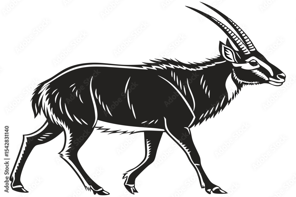 Obraz premium saola sihouette black vector 