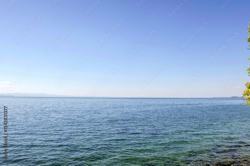 Obraz premium Sunny Spring of 2025