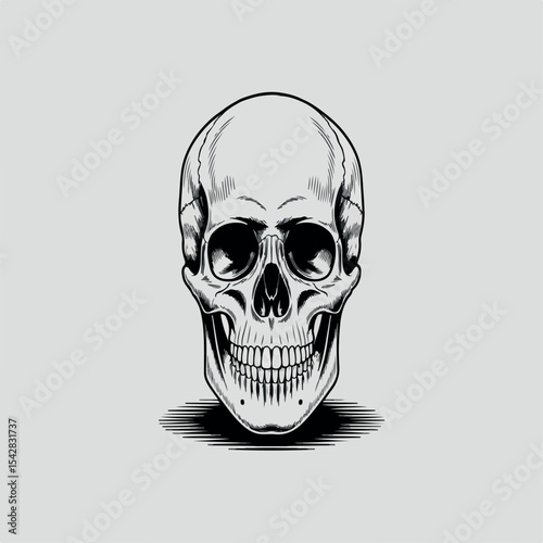 illustration, bone, horror, skull, vector, head, dead, death, drawing, skeleton, human, isolated, evil, symbol, black, art, design, anatomy, tattoo, halloween, graphic, white, front, face, jaw, scary,