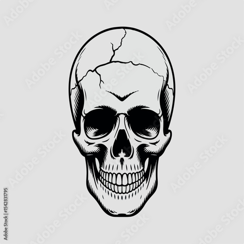 illustration, bone, horror, skull, vector, head, dead, death, drawing, skeleton, human, isolated, evil, symbol, black, art, design, anatomy, tattoo, halloween, graphic, white, front, face, jaw, scary,