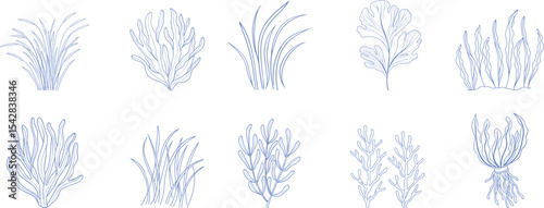 Minimal botanical line art set of seaweed, grass, and aquatic plants, ideal for nature, ocean, organic design, underwater scenes, and eco-themed creative projects or wall prints.