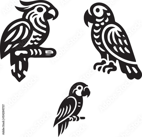 Three stylized black and white parrot illustrations featuring different species and unique designs shown together