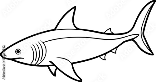 Caribbean reef shark outline vector illustration line art