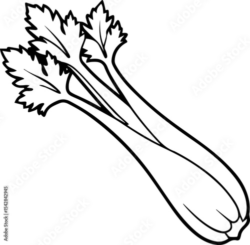 celery vegetable outline coloring book page line art vector illustration digital drawing