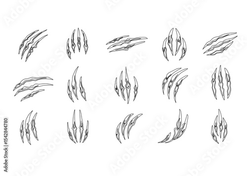 Claw scratches isolated. Black Bear tiger claws trails, animal scratched white paper. Flat scratch marks, racy wild beast tracks clipart