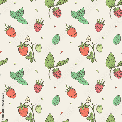 Seamless vector pattern featuring hand-drawn raspberries, strawberries, and mint leaves in pastel tones. Minimal doodle-style illustrations perfect for packaging, textiles, wallpapers
