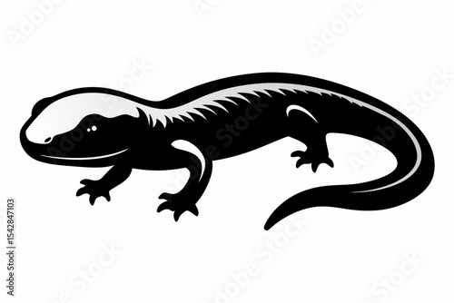 rough skinned newt sihouette black vector 
