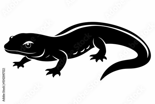 rough skinned newt sihouette black vector 