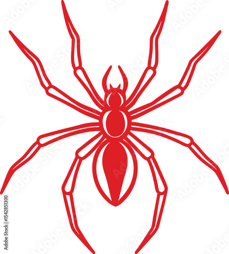 red spider isolated on white