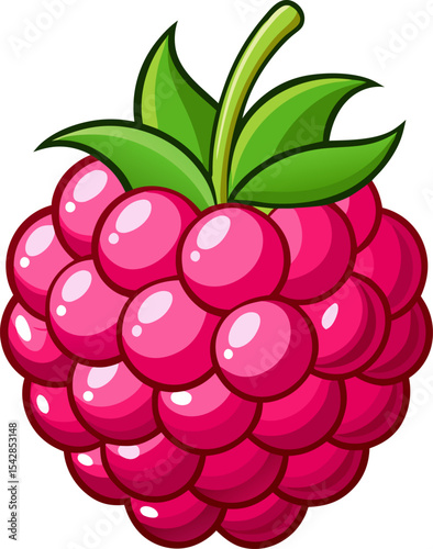 vector illustration of ripe Raspberry